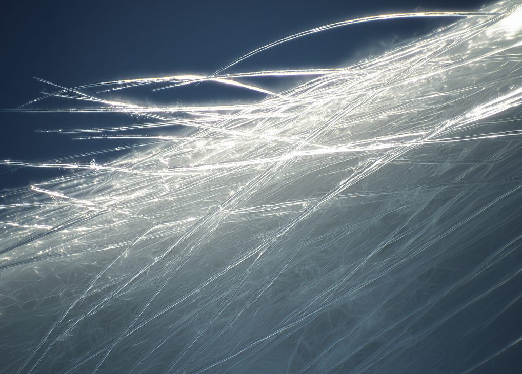 In nature, white is often an illusion